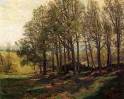 Maples in Spring - 休·博尔顿·休琼斯